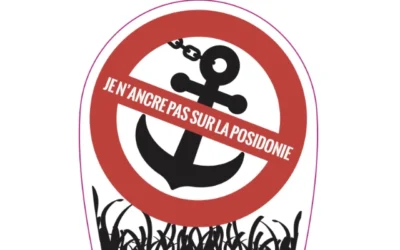 Protection des posidonies