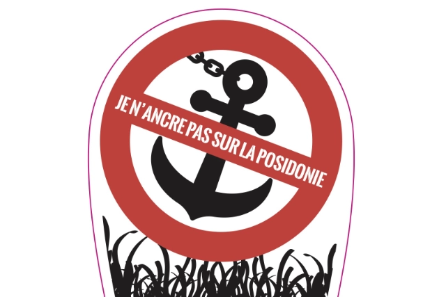 Protection des posidonies