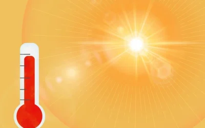 Vigilence Canicule
