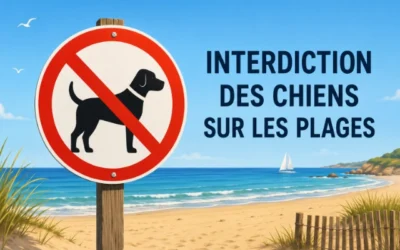 Interdiction des chiens sur les plages